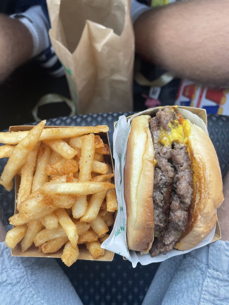 Shake Out Palmerston North Photos 2